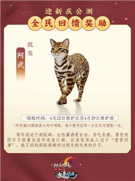 海啸兄弟天龙八部私服
